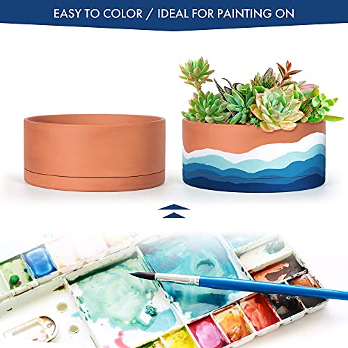 Terracotta Shallow Planter Pot with Saucer (10 Inch)