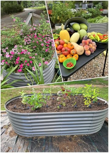 Anleolife 96x48x24in Oval Metal Raised Garden Bed (Oval-quartz Grey / 8×4×2ft Tall)