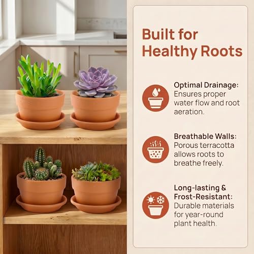 4 Pack Terracotta Pots with Saucer (6x4 Inch)