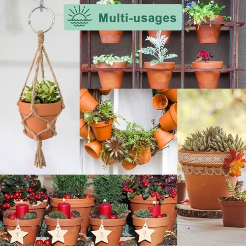 6 Inch Terracotta & Clay Pots for Plant with Saucer (Brown)
