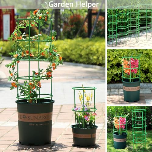 12 Packs Plant Support Stakes