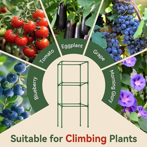 2 Pack 60" Tomato Cages for Garden (60 inch)