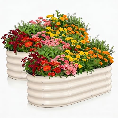 Galvanized Raised Garden Bed Outdoor 4x2x1 ft 2 Pack Oval White (White 2 Pcs / 4 x 2 x 1 ft)