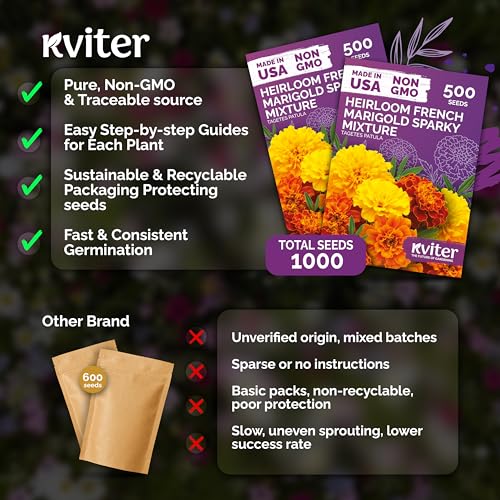 1 000 French Marigold Heirloom Flower Seeds for Planting