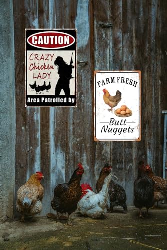 2pcs Funny Chicken Sign Vintage Metal Tin Signs Chicken Coop Accessories Lovers Gifts For Farm Yard Fence Decor Coop Caution Sign Outdoor Wall Decor 8×12 Inch (2jizuhehe)