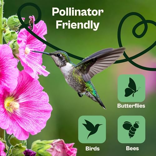 100 Mix Hollyhock Seeds