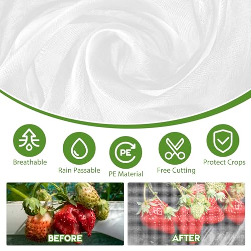 Garden Netting (10 x 50 Ft x 1 pc)