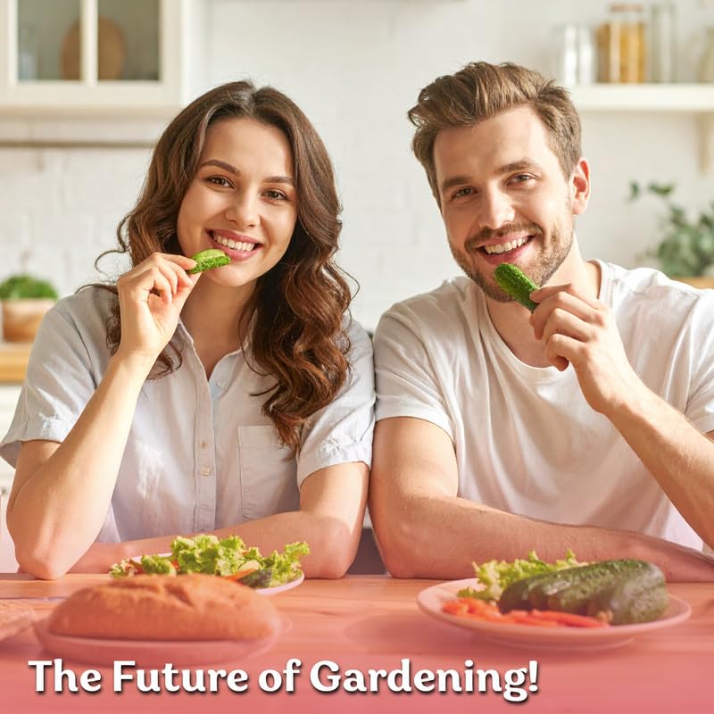 100 Beit Alpha Cucumber Heirloom Vegetable Seeds