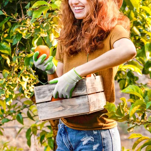 10 Pairs Gardening Gloves for Women (Lavender Purple, Apple Green / Medium (Pack of 10))