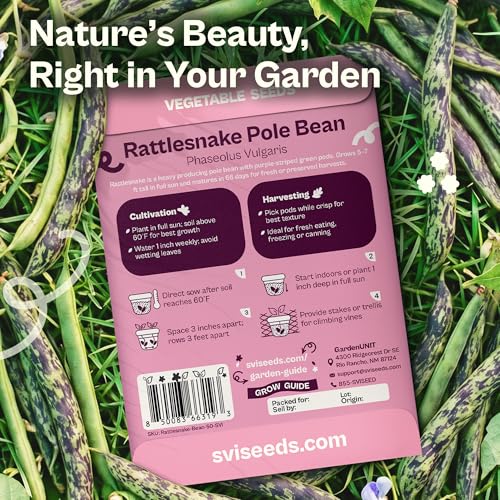 50 Rattlesnake Beans Seeds