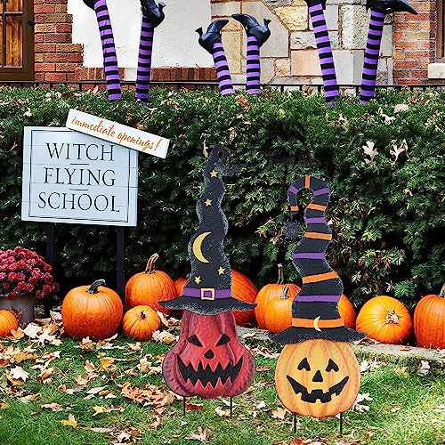 Halloween Decorations Outdoor (Black)