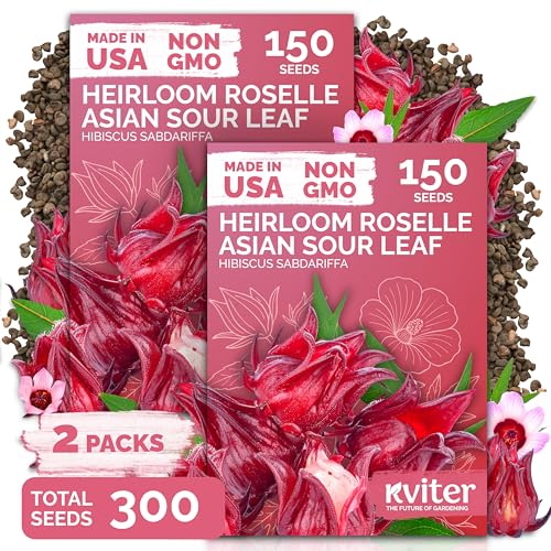 300 Roselle Seeds for Planting