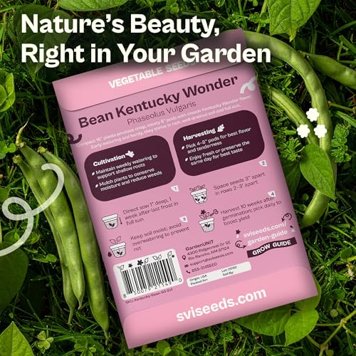 50 Kentucky Wonder Bush Bean Seeds