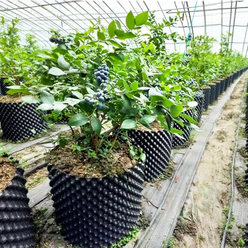 14 Gallon Air Pruning Planters (14 Gallon-5P)