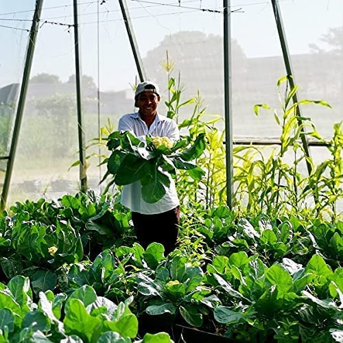 Garden Netting Bird Net 4x20Ft for Bug Protection (4'x20')