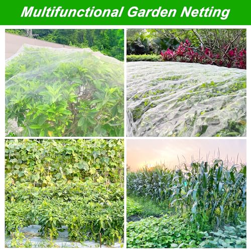 2 Pack 10X30FT Garden Netting (10X30FT-2pack)