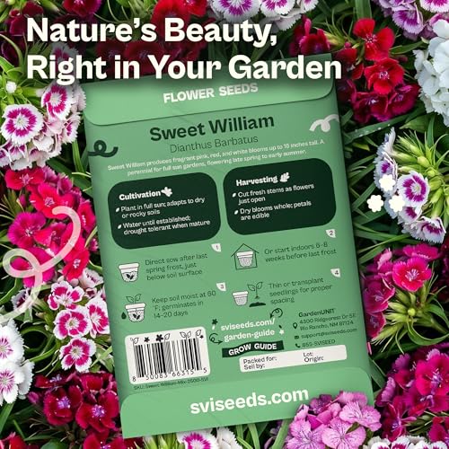 2500 Mix Sweet William Seeds