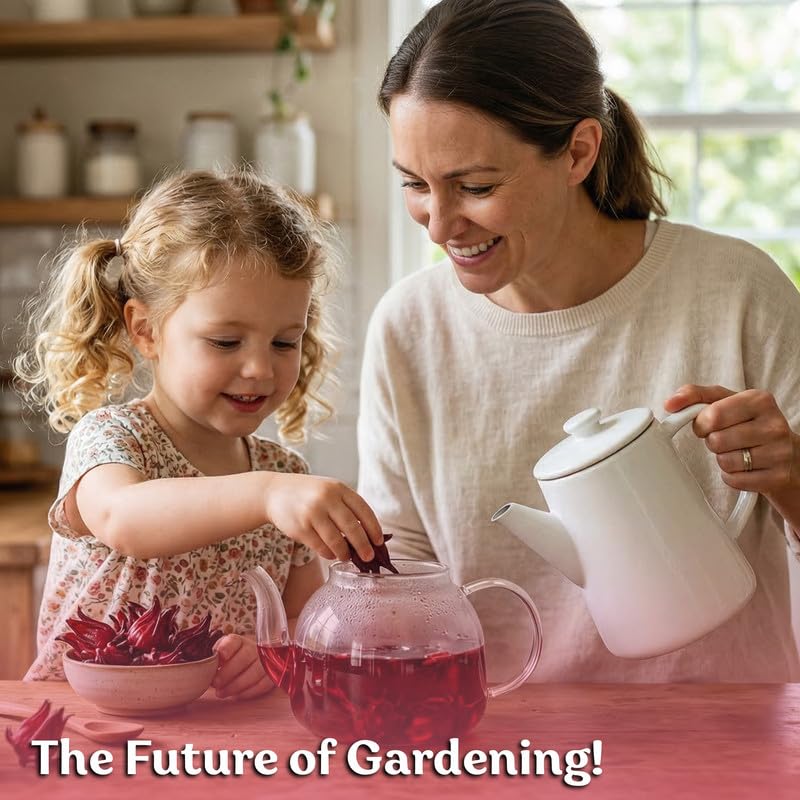 300 Roselle Seeds for Planting