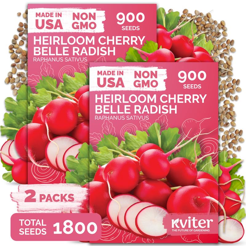 1 800 Cherry Belle Radish Heirloom Vegetable Seeds