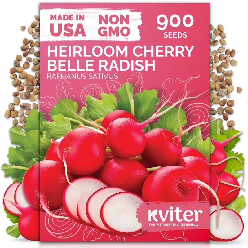 900 Cherry Belle Radish Heirloom Vegetable Seeds