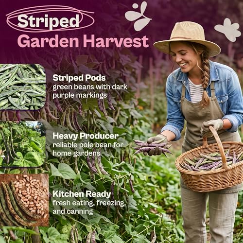 50 Rattlesnake Beans Seeds