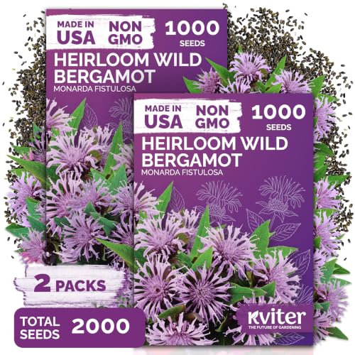 2 000 Wild Bergamot Heirloom Flower Seeds for Planting