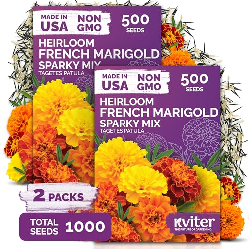 1 000 French Marigold Heirloom Flower Seeds for Planting