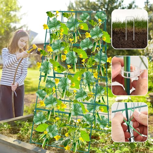 17 x 42 Inch Garden Trellis for Raised Beds Foldable Climbing Plant Support Cucumber Trellis Outdoor A (17 x 42 Inch)