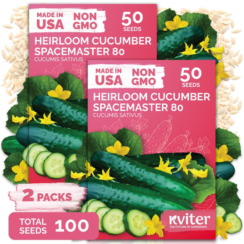 100 Spacemaster 80 Cucumber Heirloom Vegetable Seeds