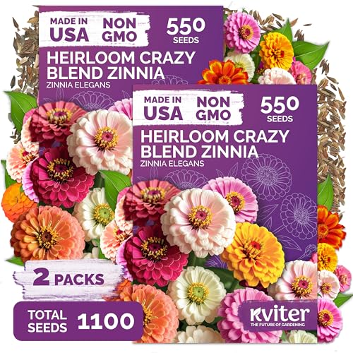 1 100 Crazy Blend Zinnia Heirloom Flower Seeds for Planting