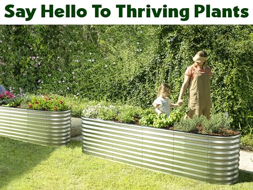 Galvanized Raised Garden Beds Outdoor (Silver / 8×2×2 Ft)