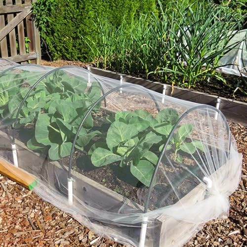 Garden Netting (10 x 50 Ft x 1 pc)