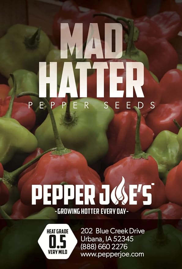 Pepper Joe’s Mad Hatter Pepper Seeds ­­­­­– Pack of 10+ Award-Winning Mild Pepper Seeds – USA Grown ­– Premium Non-GMO Mad Hatter Seeds for Planting in Your Garden