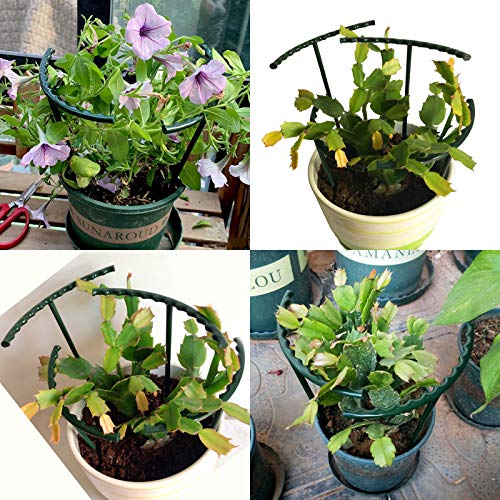 14Pcs Plant Support Stake Half Round Plant Support Ring Garden Flower Support for Tomato (6.3" x 10.3" / (16 x 26.2)cm & 14 Pcs)