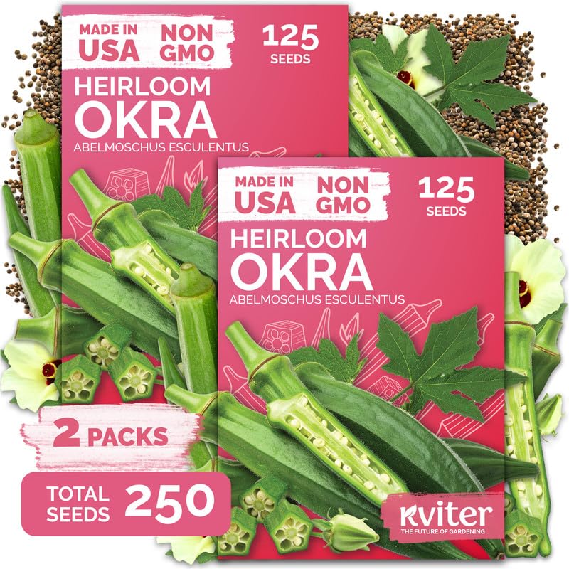 250 Clemson Spineless 80 Okra Seeds for Planting