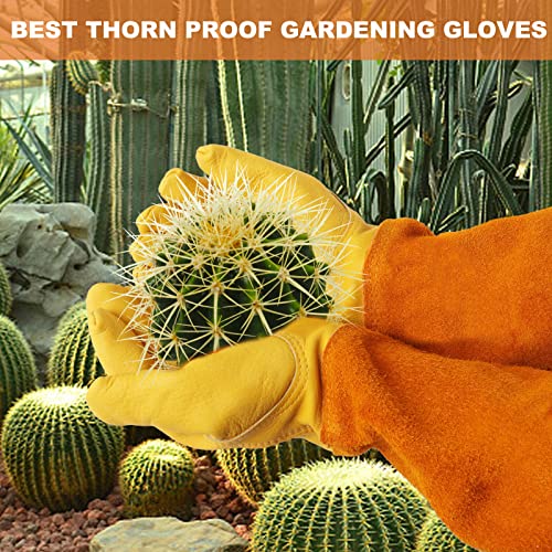 Gardening Gloves for Women Men (Yellow / Small (Pack of 1))