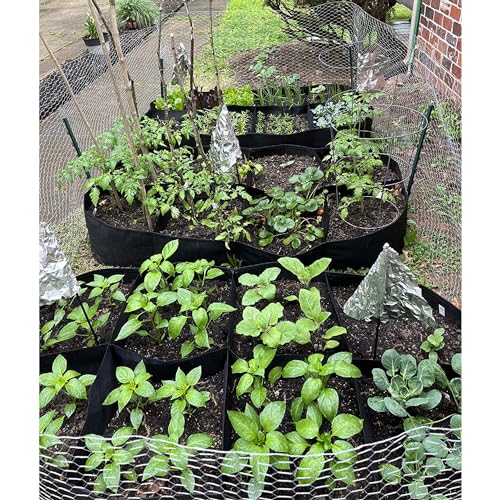 Fabric Raised Garden Bed (Rectangular / 2 Packs 8Grids 3x6 ft)