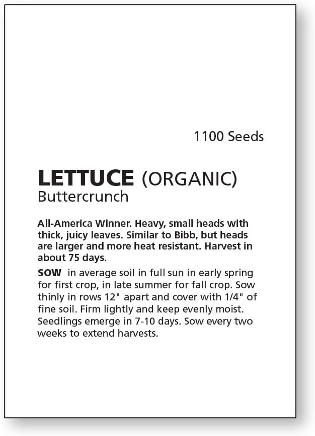 Burpee Buttercrunch Hybrid (Organic) Lettuce Seeds 1100 seeds