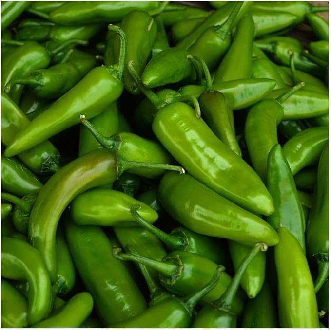 Everwilde Farms - 1/4 Lb Organic Jalapeno Hot Pepper Seeds - Gold Vault