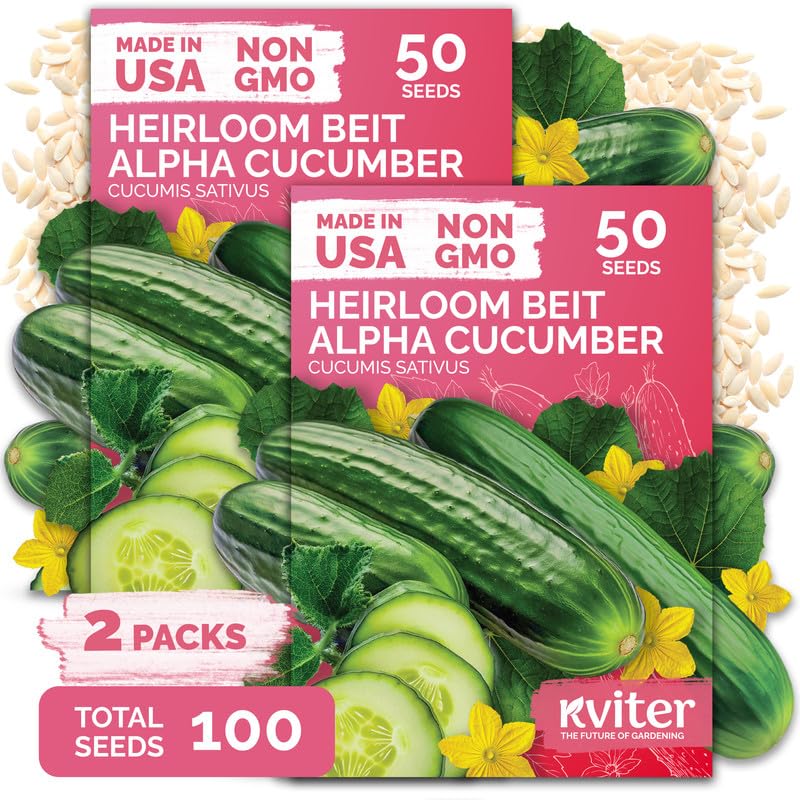 100 Beit Alpha Cucumber Heirloom Vegetable Seeds