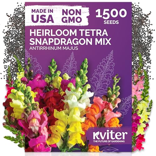 1 500 Tetra Mix Snapdragon Flower Seeds for Planting
