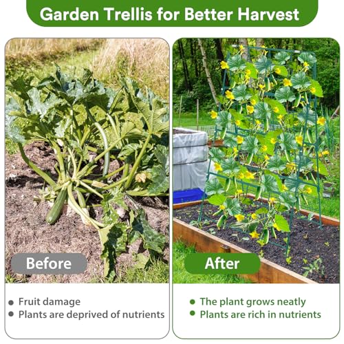 17 x 42 Inch Garden Trellis for Raised Beds Foldable Climbing Plant Support Cucumber Trellis Outdoor A (17 x 42 Inch)