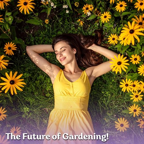 20 000 Black Eyed Susan Heirloom Flower Seeds for Planting