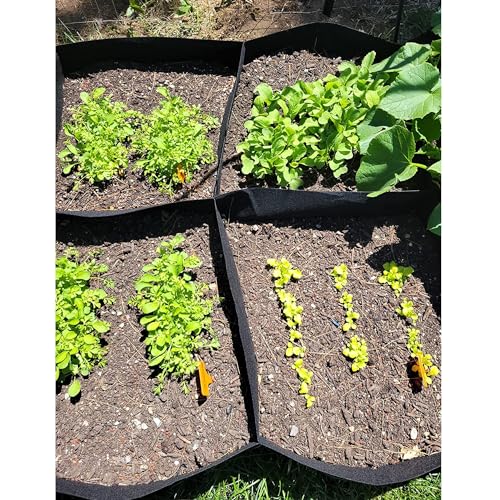 Fabric Raised Garden Bed (Rectangular / 2 Packs 8Grids 3x6 ft)
