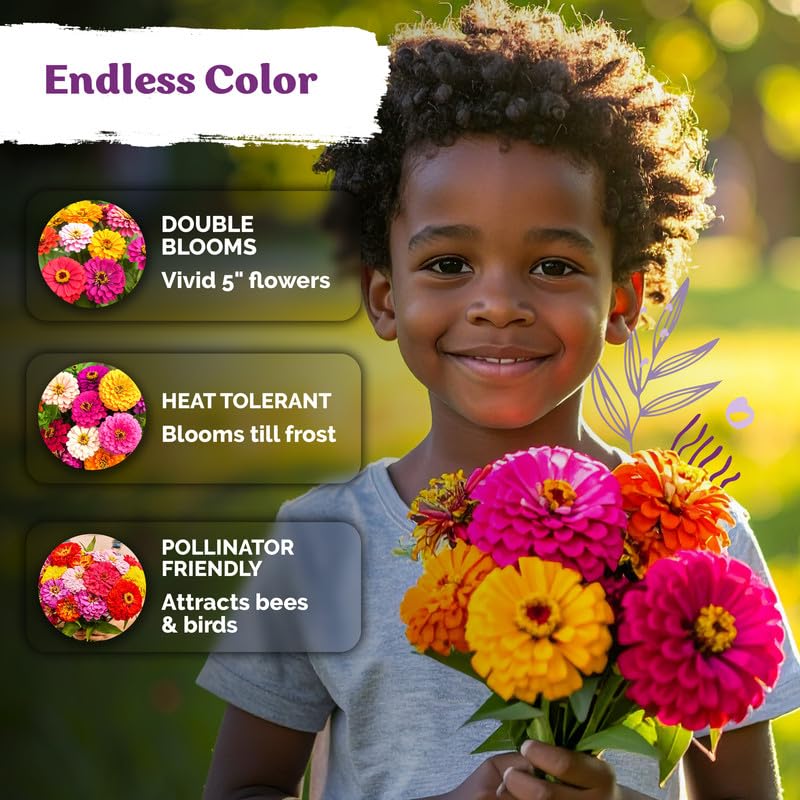 1 100 Dahlia Zinnia Heirloom Flower Seeds for Planting