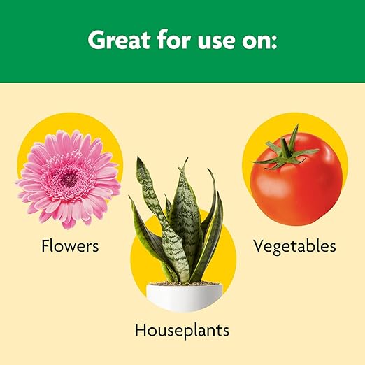 Miracle-Gro Shake 'N Feed All Purpose Plant Food - Outdoor and Indoor Plant Food for In-Ground and Containers, Feeds for up to 3 Months, 4.5 lbs.