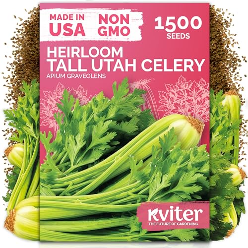 1500 Tall Utah Celery Heirloom Vegetable Seeds