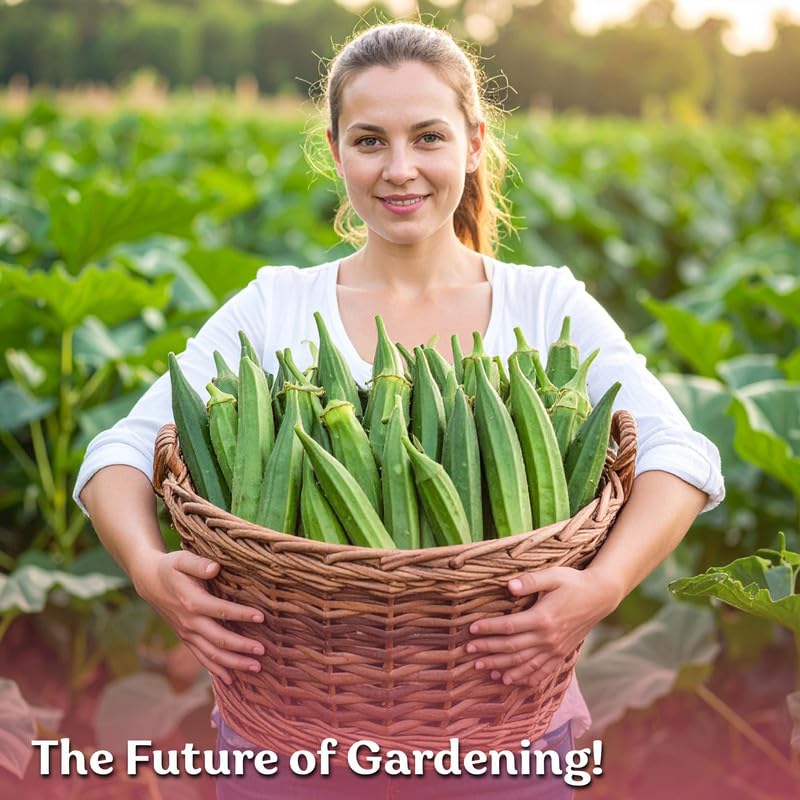 250 Clemson Spineless 80 Okra Seeds for Planting