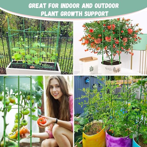 4 Pack Tomato Cage for Garden (Green 4 Pack / 48 Inches)