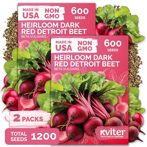 1 200 Detroit Dark Red Beet Heirloom Vegetable Seeds